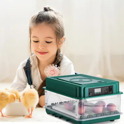 Incubators For Hatching Eggs 48 Egg Incubator Automatic Turning Duck Chicken Egg • £51.99