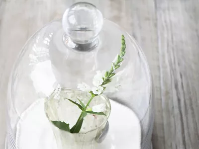 £19.95 • Buy Large Candle Cloche Vintage Glass Bell Dome Jar Wedding Home Decor Valentine