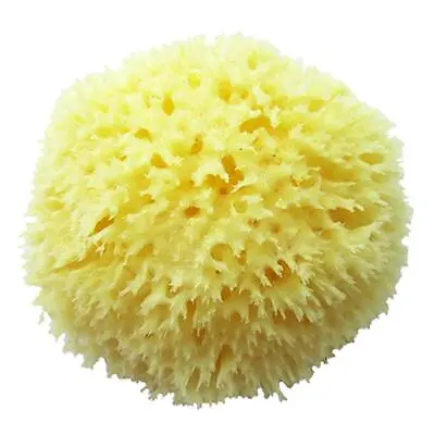 Premium Round Formed 5.5’’Uncut Soft Natural Greek Sea Sponge Adult Baby Bath • £14.99