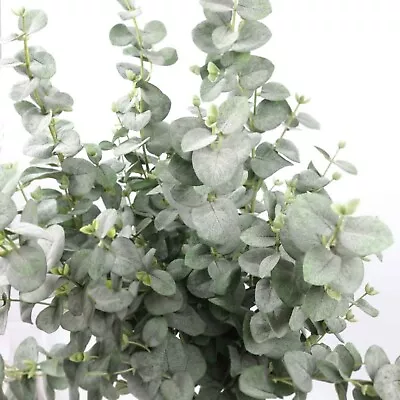 Eucalyptus Long Spray In Green 105cmH Native Australia Artificial Faux Flower • $12.90