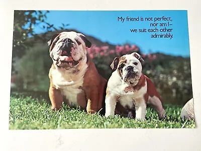 Vintage Argus Bulldog Friends Workplace Educational Humor Poster 21” X 14” #2586 • $29.99