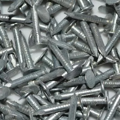 100 X 25mm 1 Inch Clout Nails Galvanised Nail Felt Shed Roof Repair Free Postage • £4.39