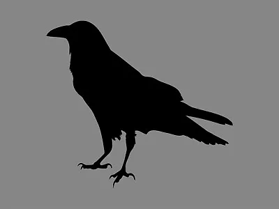 CROW Bird Silhouette Vinyl Decal Halloween Scary Spooky Outdoor Car Sticker  • $2.99