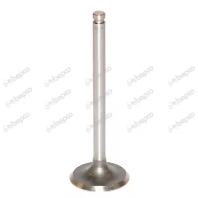 732811M1 Massey Ferguson 135 150 230 235 245 Diesel Intake Valve • $9.51