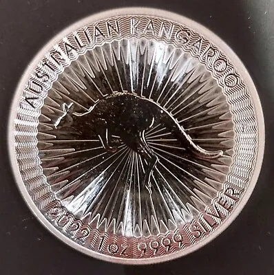 2022 Kangaroo 1oz 9999 Silver Perth Mint In Capsule • £27