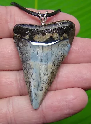MAKO SHARKS TOOTH  Necklace - 2 & 5/16 In. - SHARKS TEETH - For Men & Woman • $59