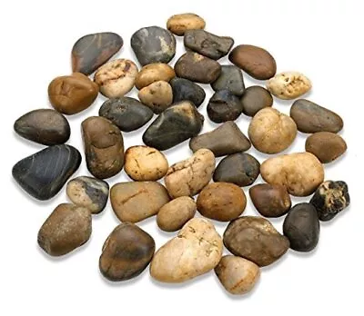  2 Pounds Decorative River Rock Stones - Natural Polished Mixed Color Large • $28.60