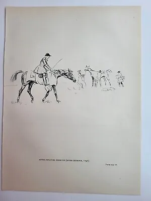 Vintage Pencil Drawing Print Royal Newmarket 1945 Horse Racing Sweating Exercise • £13.50