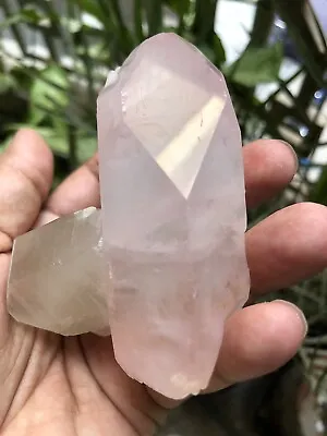 362-Grms_ BEAUTIFUL GEMMY Quality Pink Morganite SPECIMEN From Kunar Afghanistan • $2500