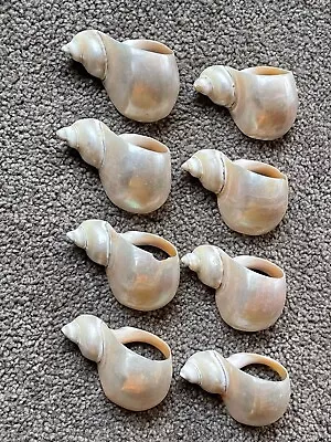 Mother Of Pearl Seashell Napkin Rings Set Of 8 Natural Shell MCM Wedding Beach • $24.99