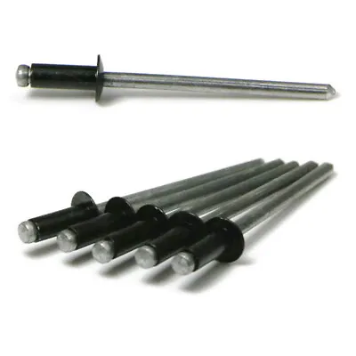 Black Pop Rivets 1/8 Diameter #4 All Aluminum Black Painted Blind Rivets • $28.25