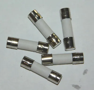 (5) 5A T5A 250V 5X20mm (3/16  X 3/4 ) SLOW BLOW Ceramic Fuse ~ Fast USA Shipping • $6.95