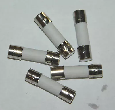 5Pcs 1 Amp T1A 250V 5X20mm (3/16x3/4 ) SLOW BLOW Ceramic Fuse ~ USA Shipping • $6.95