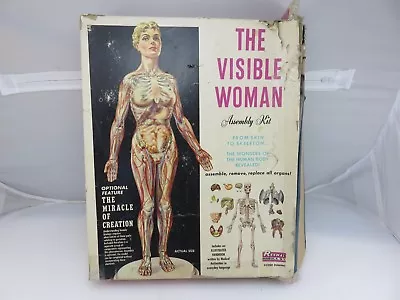 Renwal THE VISIBLE WOMAN Assembly Model Kit **BUILT-PARTS PAINTED** Vintage • $49.98