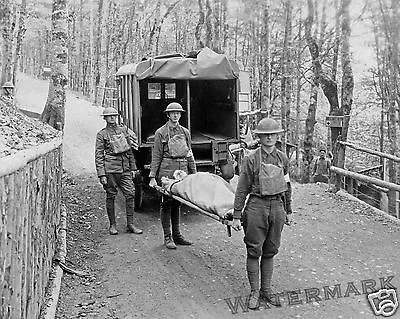 WWI (Germany) US  ARMY Ambulance Wagon Year 1918   8x10 Photo • $12.95