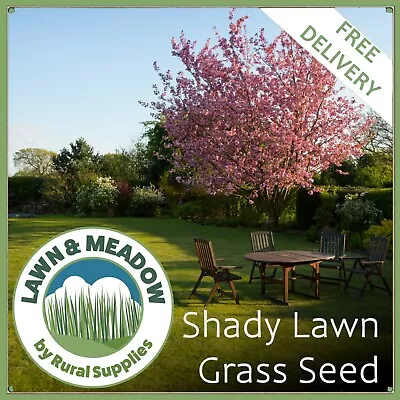 Grass Seed For Shaded Areas | DROUGHT TOLERANT QUALITY LAWN SEED • £197