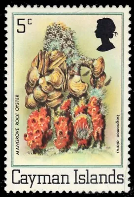 CAYMAN ISLANDS 453 - Mangrove Root Oysters  Isognomon Alatus  (pb85052) • £1.20