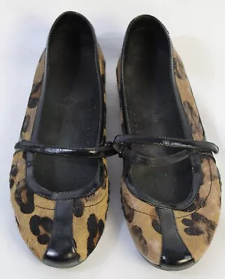 Cole Haan NikeAir Mary Jane Shoe Women Size 8B Cheetah Leopard Calf Hair Flat • $19.99