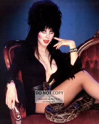 Elvira Mistress Of The Dark - 8x10 Publicity Photo (dd466) • $8.87