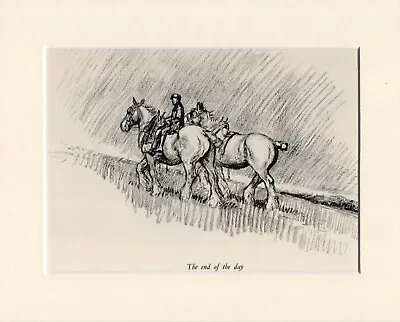 Original Vintage Horse Sketch Print 1937 By K F Barker  The End Of The Day  • £5.99