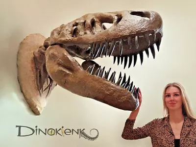 5 FT T-Rex Skull Premium Wall-Mounted LifeSize Replica Museum-quality Lux Fossil • £3647.34