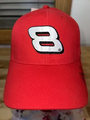 VTG DALE EARNHARDT JR #8 NASCAR Cap 2004 Name & Number Adjustable Hat Vintage • $18.88