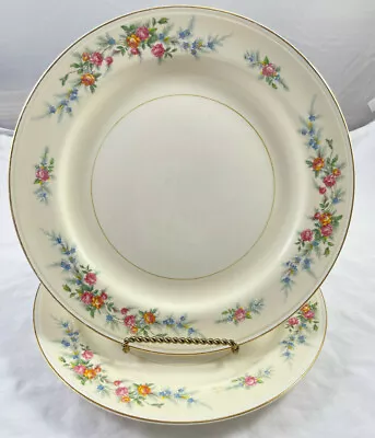 $10 • Buy Ferndale Floral Dinner Plates Homer Laughlin 9 7/8  Set Of 2 Multiple Available