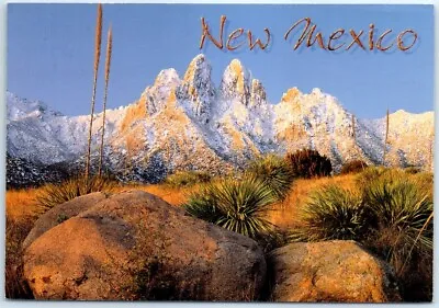 Postcard Organ Mountain New Mexico USA North America • $6.23