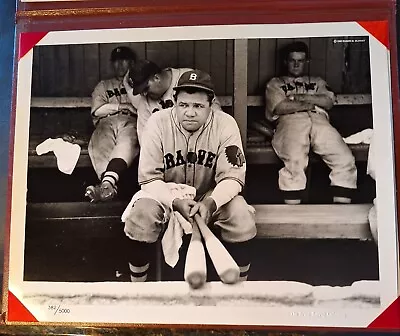 Babe Ruth Original Photograph #382/5000 Bruce Murray Collection Limited Edition! • $200