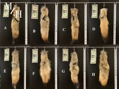 Keychain Real Red Fox Tails Natural Fur Tails Harley Parts Purse • $18