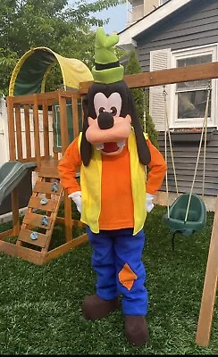 Goofy Mascot Costume Adult • $380