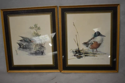 £4.99 • Buy 2 Mads Stage Duck Prints 1979 Framed (Vintage 1970s Prints)