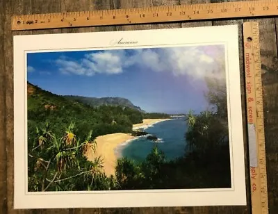 VINTAGE POSTER  Americana  Tropical Beach Scene With Grassy Mountains Hawaii • $150