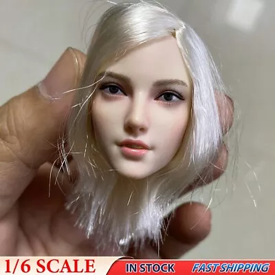 1/6Model White Hair Monster Hunter Female Girl Head Sculpt F 12  Hot Toys Figure • $23.99