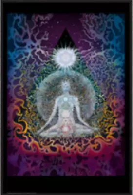 MEDITATION POSTER 24x36 - 3035 • $11.35