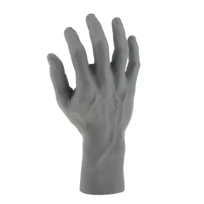 Free Stand Male Mannequin Right Wrist Hand Jewelry Watch Glove Ring Display • $21.15