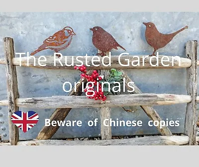 Rusty Metal Garden Birds Sparrow Robin Blackbird Blue Tit Garden Decor  UK • £5