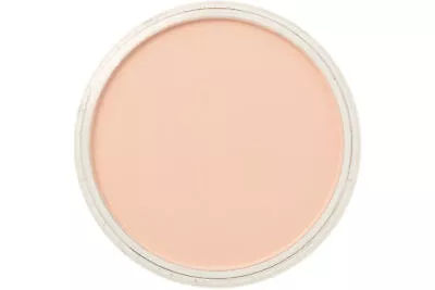 Pan Pastel Artists Pastels - Full Range - Apply Pastel Colour Like Paint • £9.43