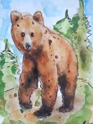 ACEO ATC  Sketch  -  BROWN BEAR  Art   ****  SALE!! • $9.99