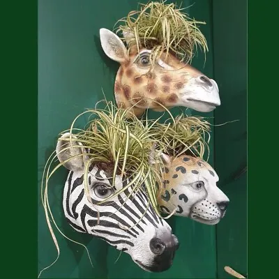 Resin Animal Head Shaped Plant Pot Wall Mounted Garden Cache Pot Safari Planters • £23.95