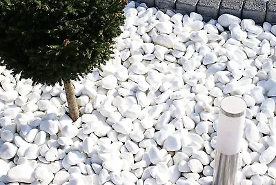 PURE White Sparkling Marble PEBBLES STONE Greek Thassos Gravel Landscape Garden • £279.99