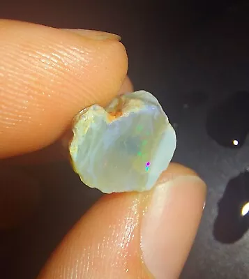 15.45ct Huge Crystal Rough Opalised Wood Fossil Hunter Green Lightning Ridge Top • $83.44