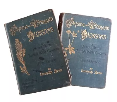 1897-9 Wildflowers Series 1 And 2 By Edward Step - Illustrated • £39.99