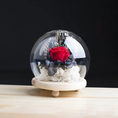 £9.95 • Buy Round Glass Dome With Wooden Base Cloche Bell Jar LED Light Display Decorative