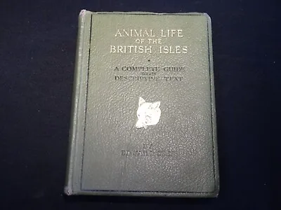 Animal Life Of The British Isles   Edward Step • £8