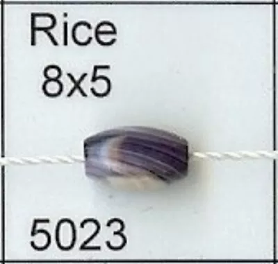 5023 Rice 8x5 Purple Wampum Bead Quahog • $8