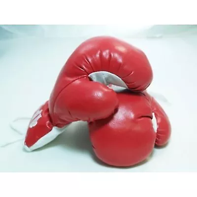 New 1 Pair Of Youth Red 6oz Boxing Gloves For Kids • $22.19