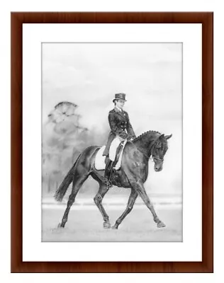 Horse Riding Equestrianism Drawing A4 Print Pencil Art • £4.99