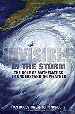 Invisible In The Storm : The Role Of Mathematics In Understanding • $17.55