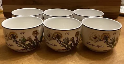 6 Villeroy & Boch Botanica Porcelain Coffee Cups EXCELLENT! • $49